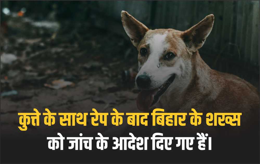 कुत्ते के साथ रेप के बाद बिहार के शख्स को जांच के आदेश दिए गए हैं।